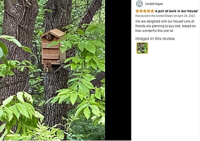 Vundahboah Amish Goods Screech Owl House Box Vundahboah Amish Goods Screech Owl House Box