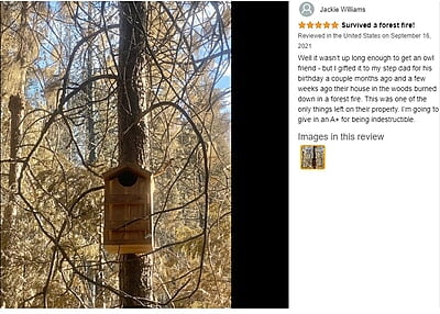 Vundahboah Amish Goods Screech Owl House Box Vundahboah Amish Goods Screech Owl House Box