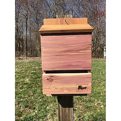 Vundahboah Amish Goods Outdoor Bat Box Shelter / Bat House Vundahboah Amish Goods Outdoor Bat Box Shelter / Bat House