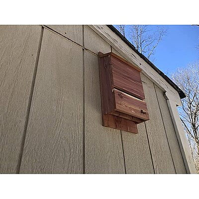Vundahboah Amish Goods Outdoor Bat Box Shelter / Bat House Vundahboah Amish Goods Outdoor Bat Box Shelter / Bat House
